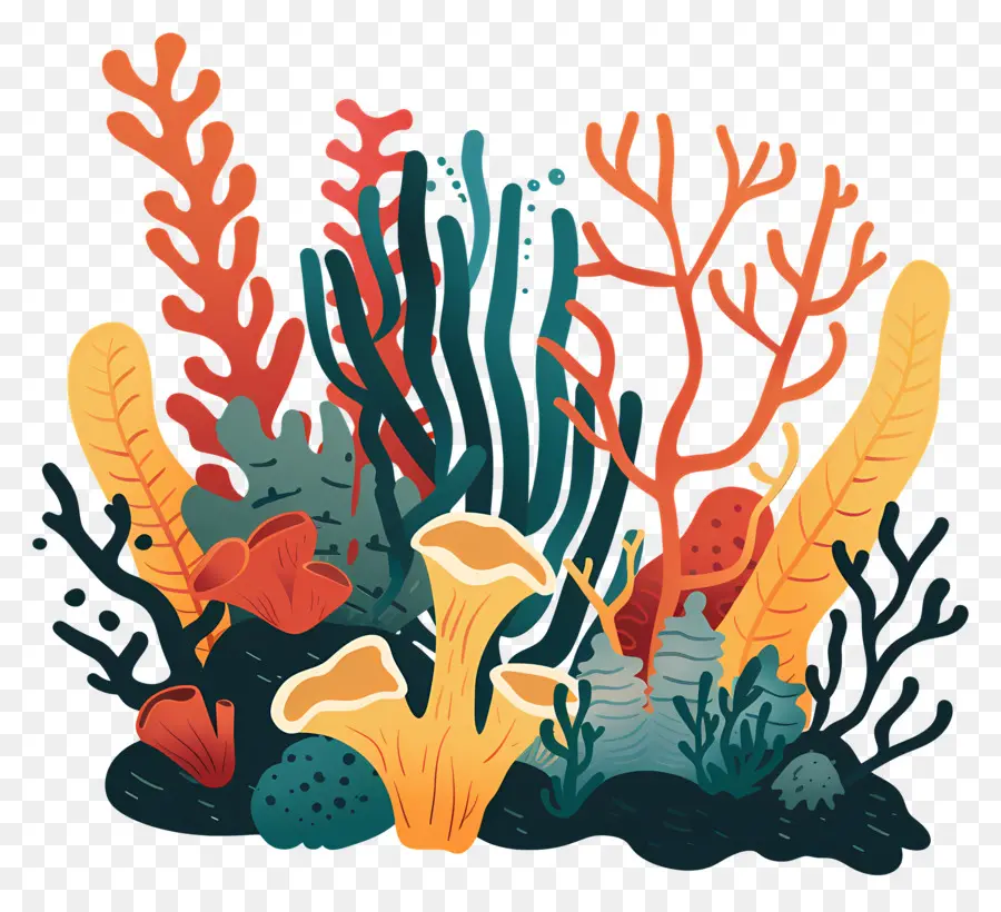 Mercan Resifi，Su Bitkileri PNG
