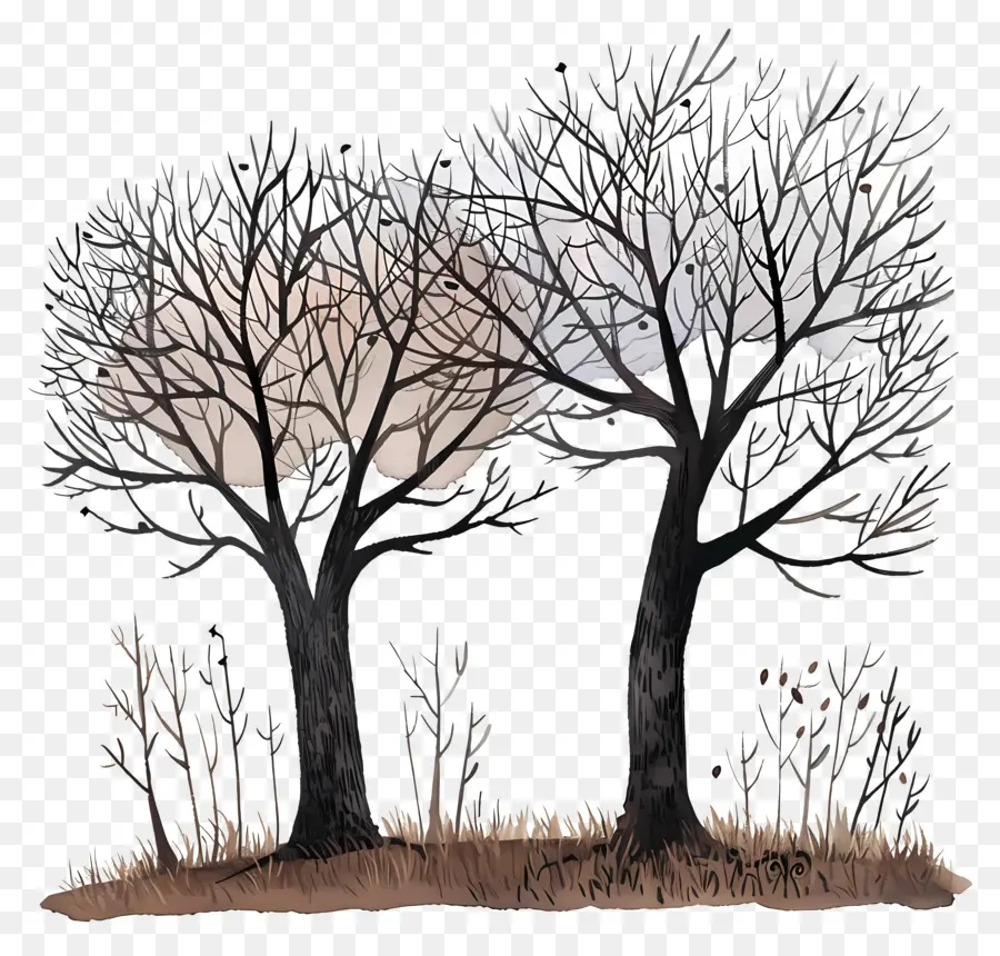 çıplak Ağaçlar，Kış Ağaçları PNG