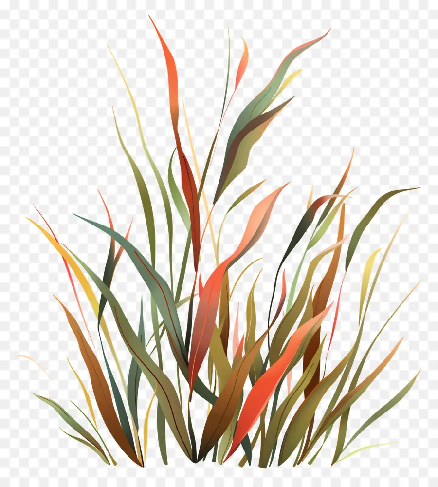 Seagrass，Yaprakları PNG
