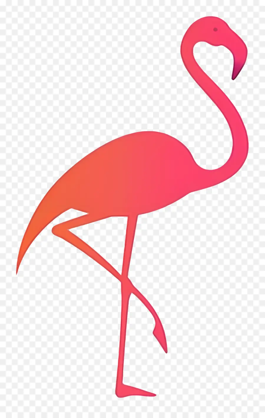 Flamingo Silueti，Pembe Flamingo PNG