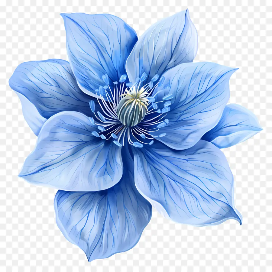 Mavi çiçek，Büyük Yapraklar PNG