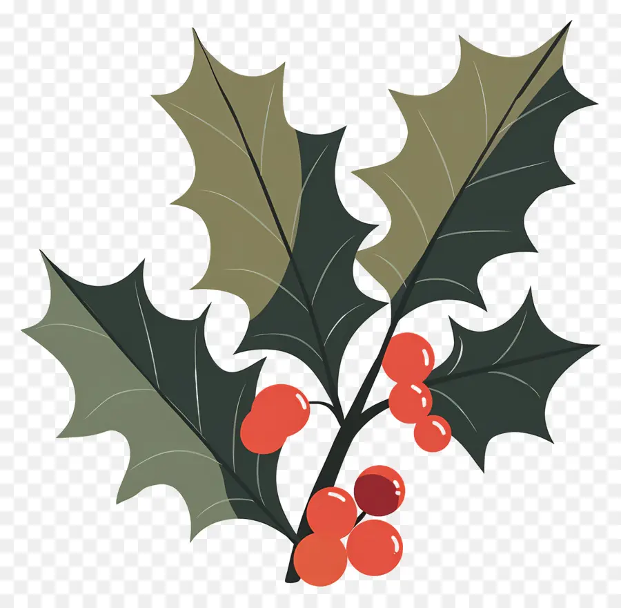 Holly，Dut PNG