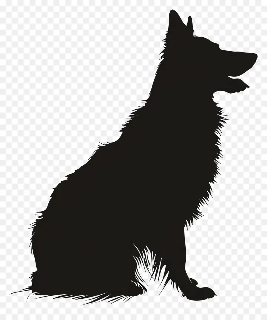 Köpek Siluet，Siyah Köpek PNG