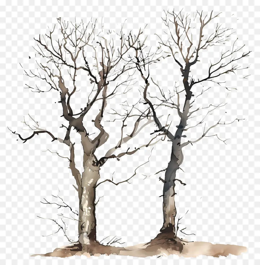 çıplak Ağaçlar，Ağaçlar PNG