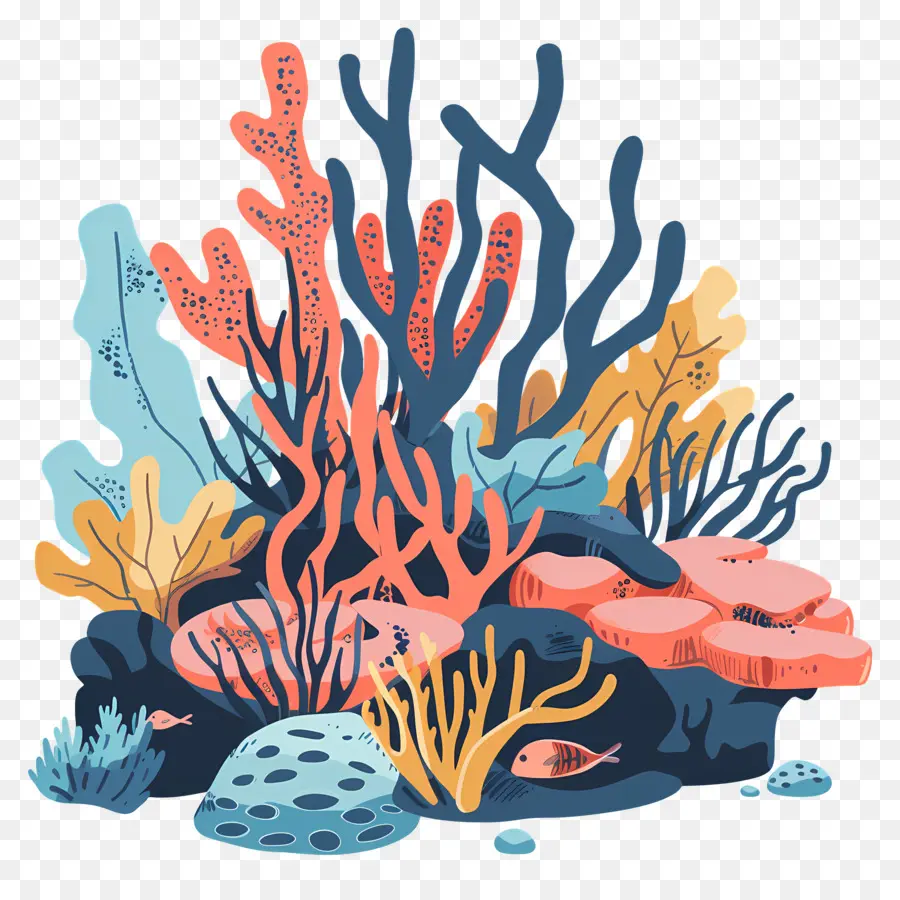 Mercan Resifleri，Deniz Yaşamı PNG