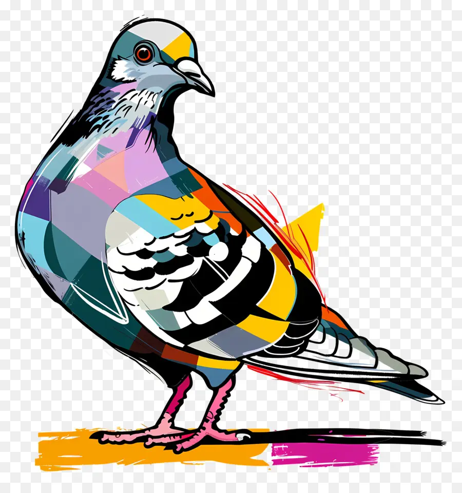 Güvercin，çok Renkli Güvercin PNG