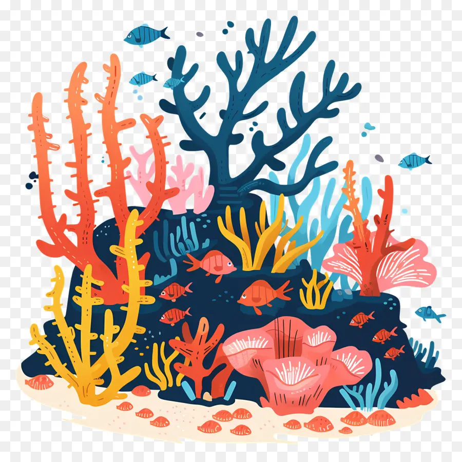 Mercan Resifleri，Mercan Resifi PNG