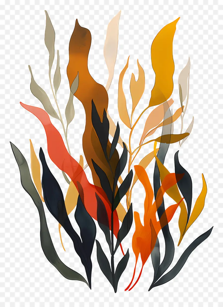Kelp，Renkli Yaprakları PNG