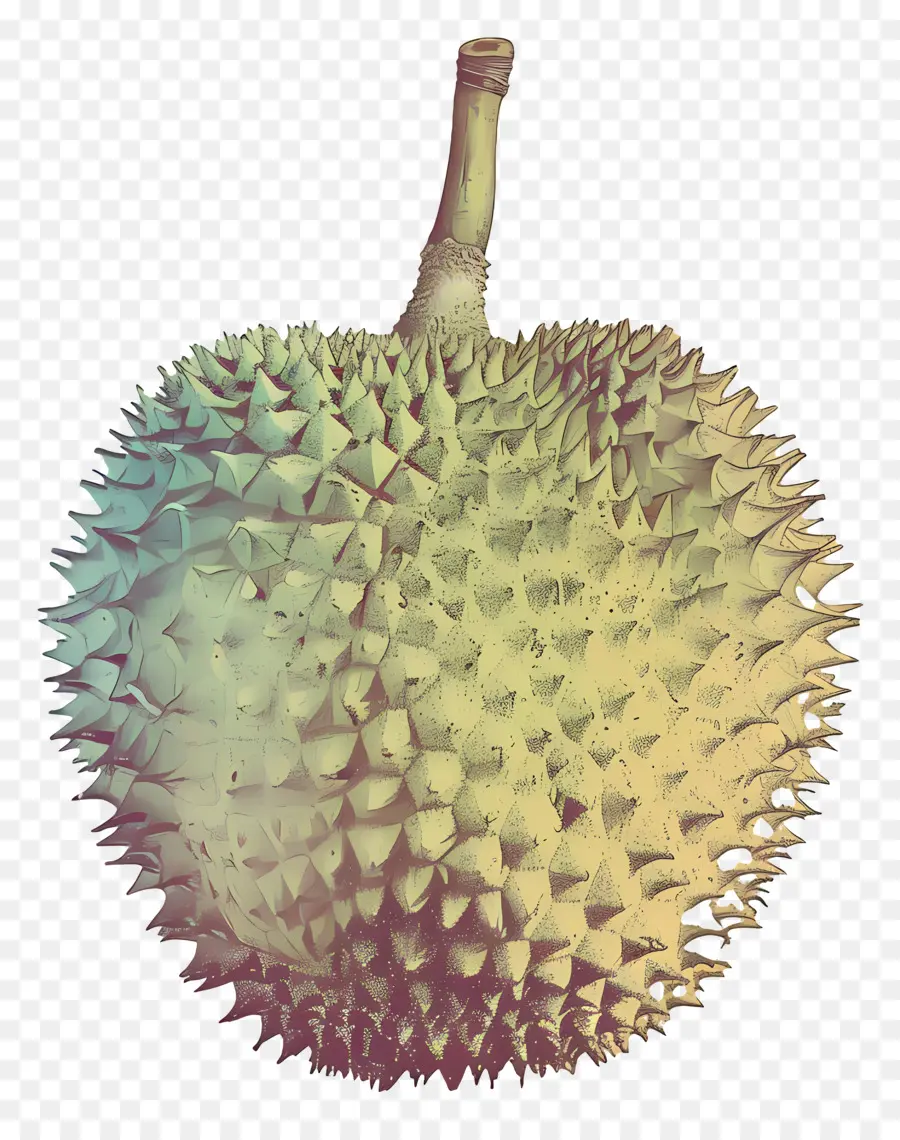 Durian，Ejderha Meyve PNG