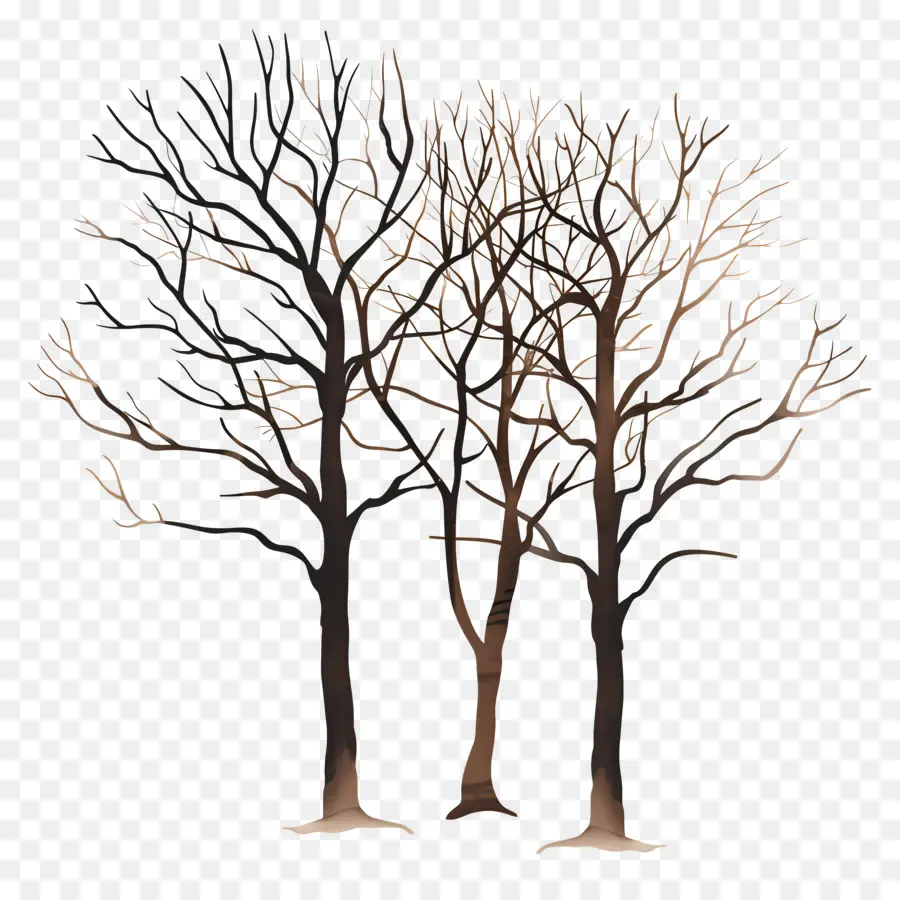 çıplak Ağaçlar，Yapraksız Ağaçlar PNG