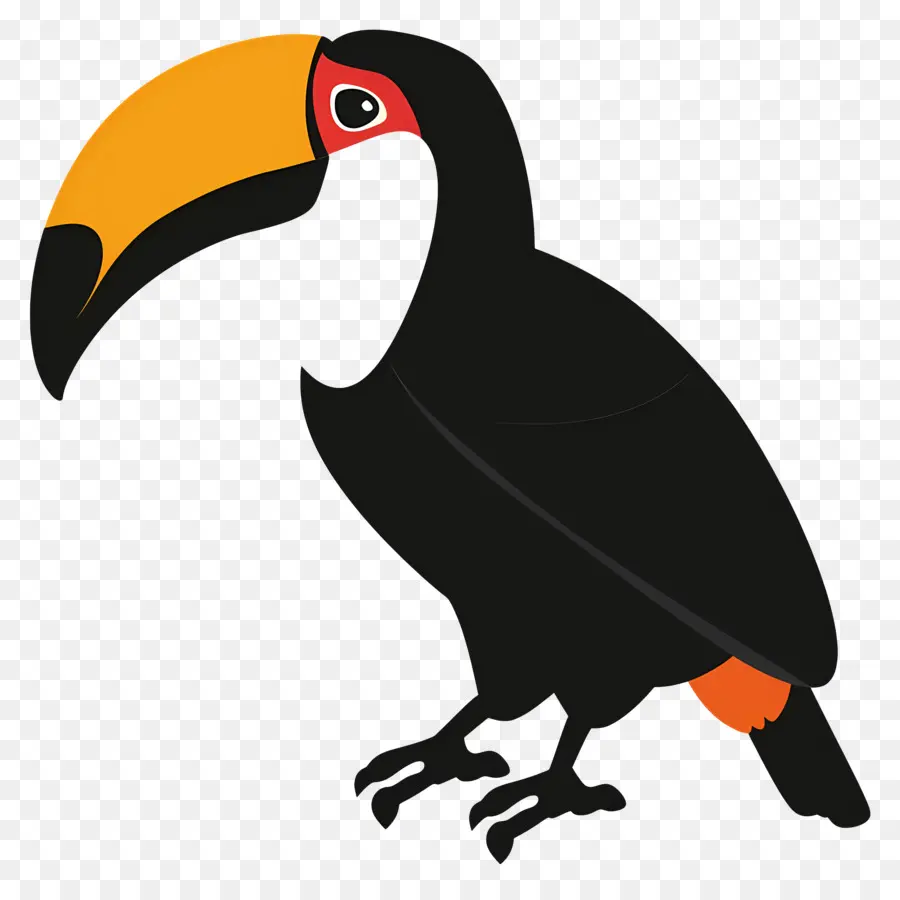 Tukan，Karikatür Kuş PNG