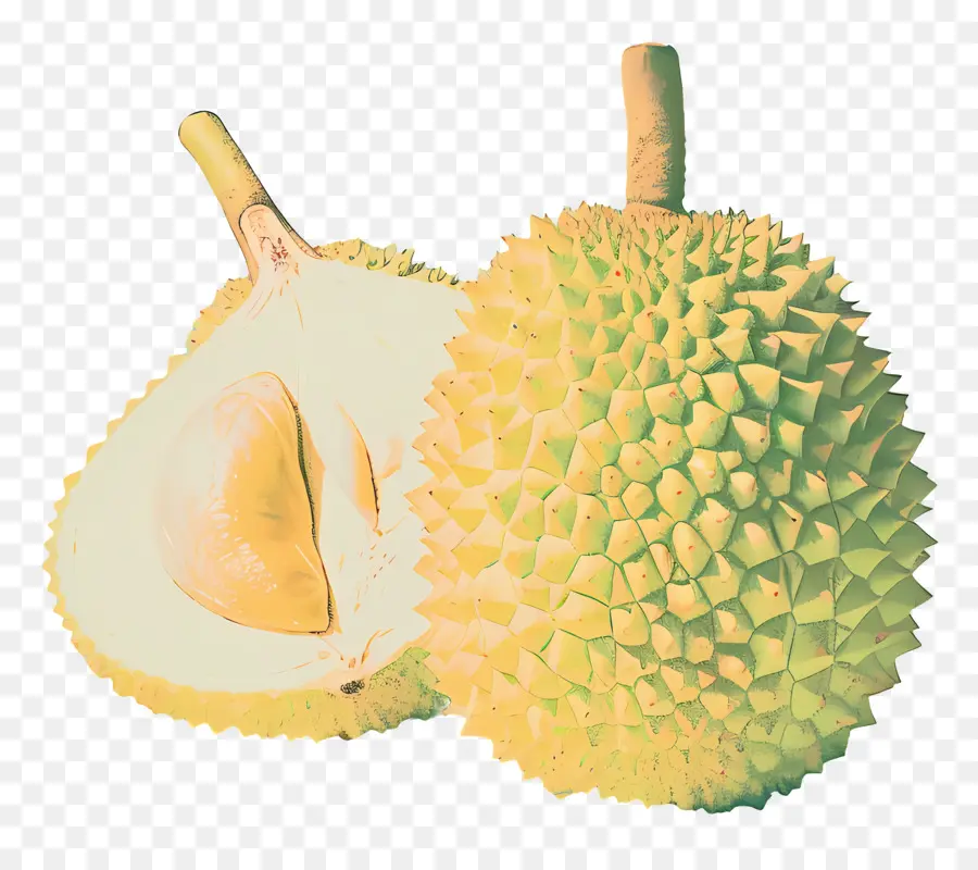 Durian，Meyve PNG
