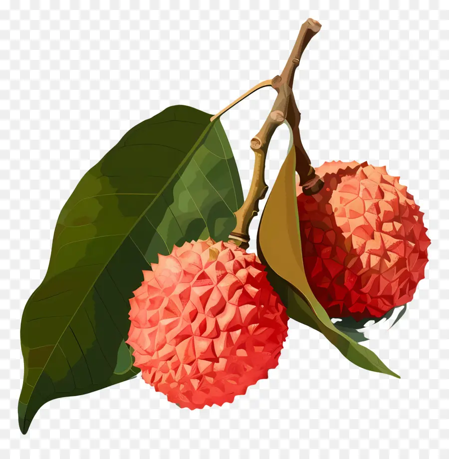 Lişe，Guava PNG