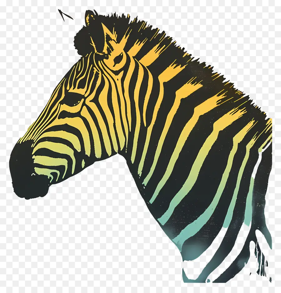 Zebra，Zebra Kafa PNG