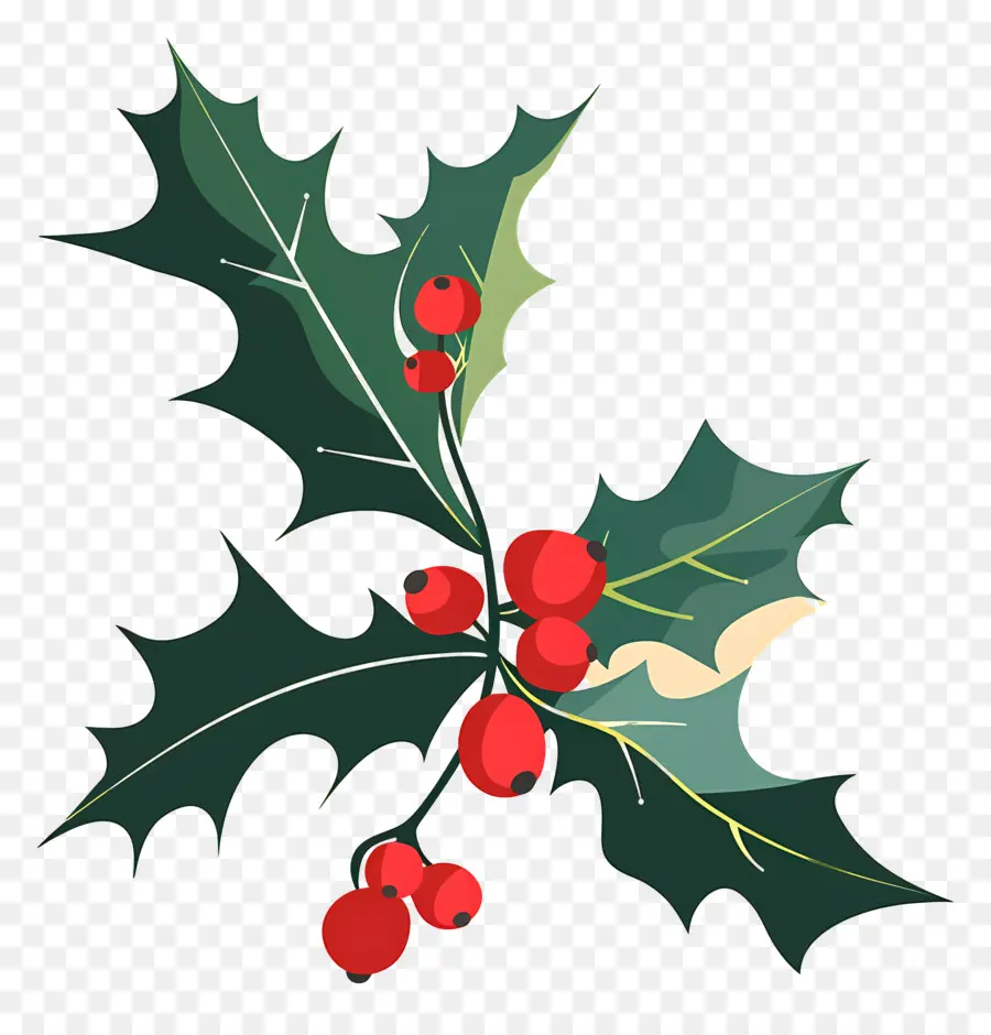 Holly，Holly Şubesi PNG