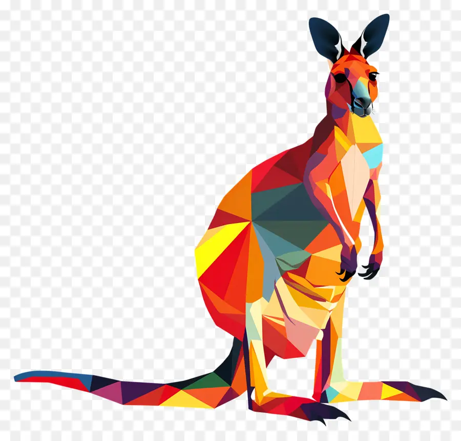 Kanguru，Karikatür PNG