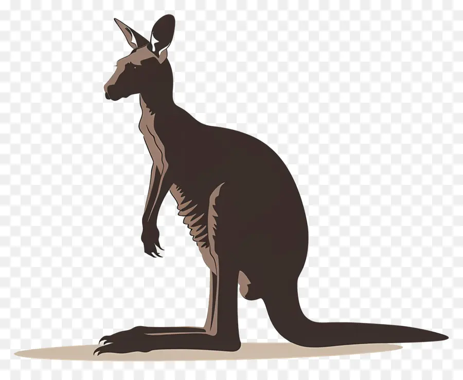 Kanguru，Avustralya Yaban Hayatı PNG