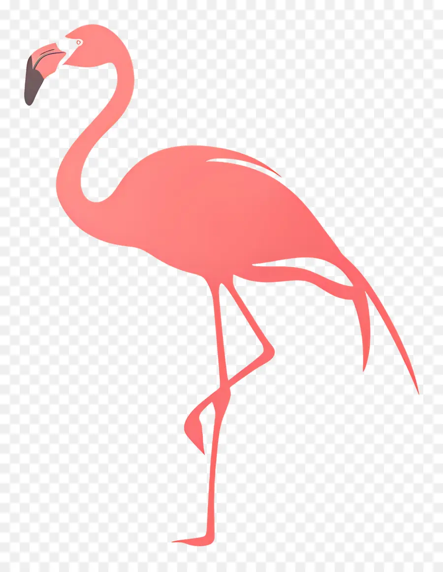 Flamingo Silüeti，Pembe Flamingo PNG