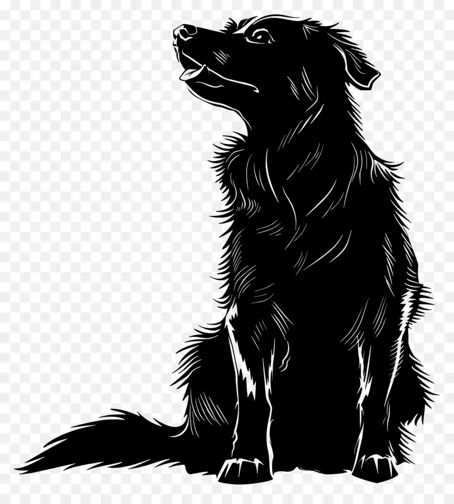Köpek Siluet，Siyah Ve Beyaz PNG