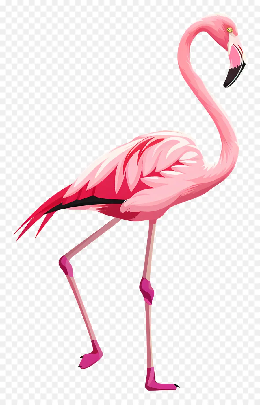 Flamingo，Pembe PNG