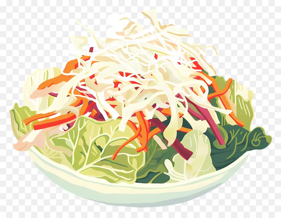 Lahana Salatası，Salata PNG