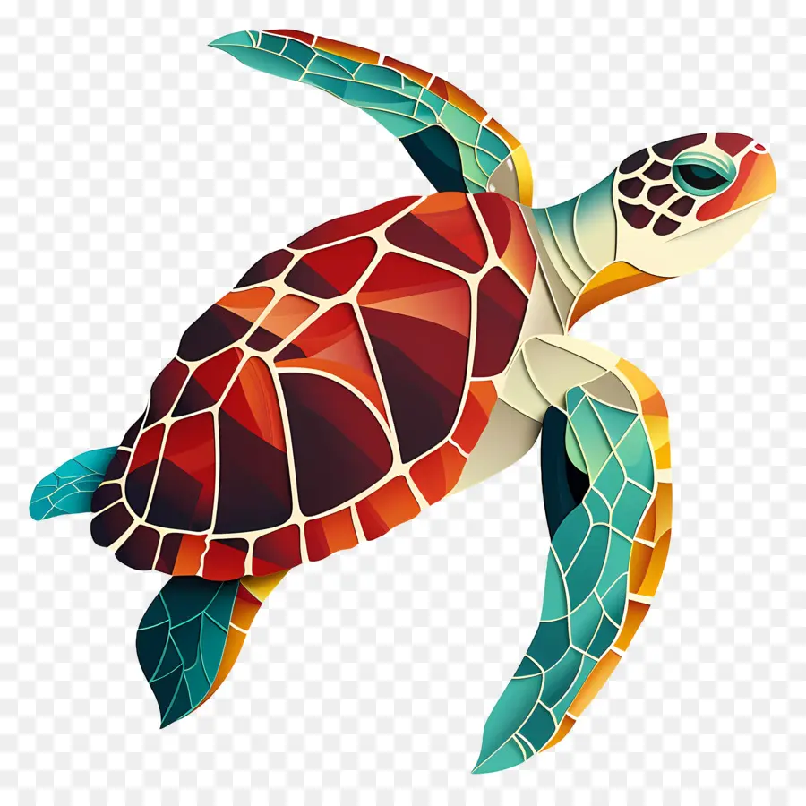 Deniz Kaplumbağası，Kaplumbağa PNG