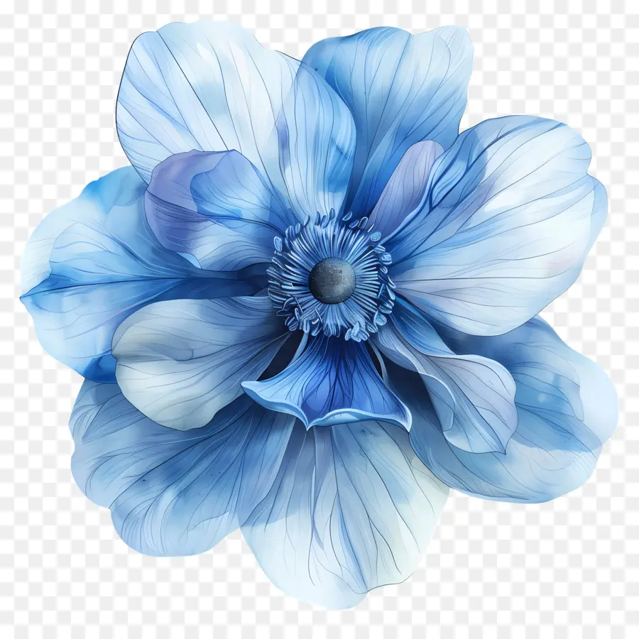 Mavi çiçek，Beyaz Center PNG
