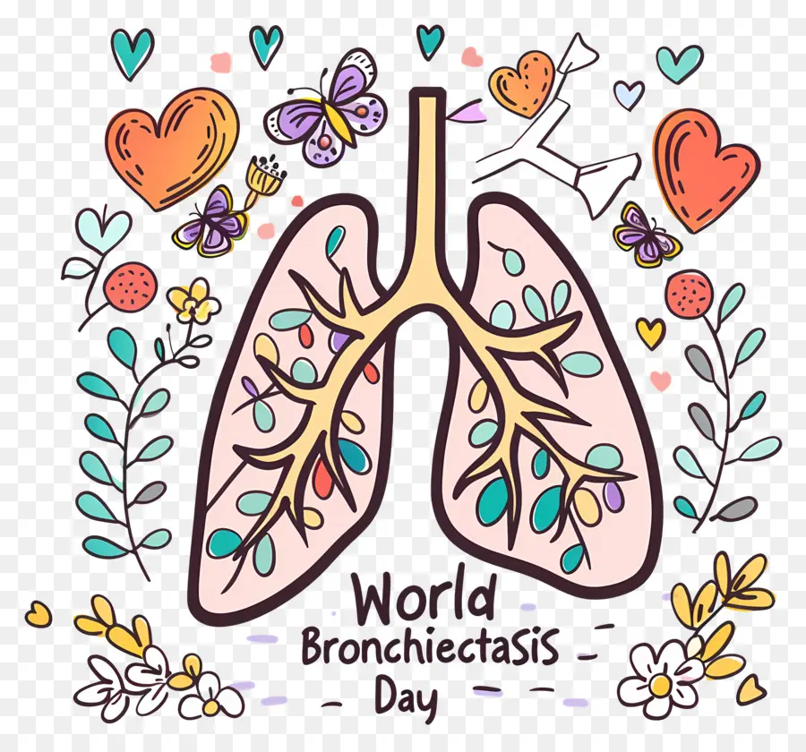 Dünya Bronşektazi Günü，Sağlıklı Akciğerler PNG