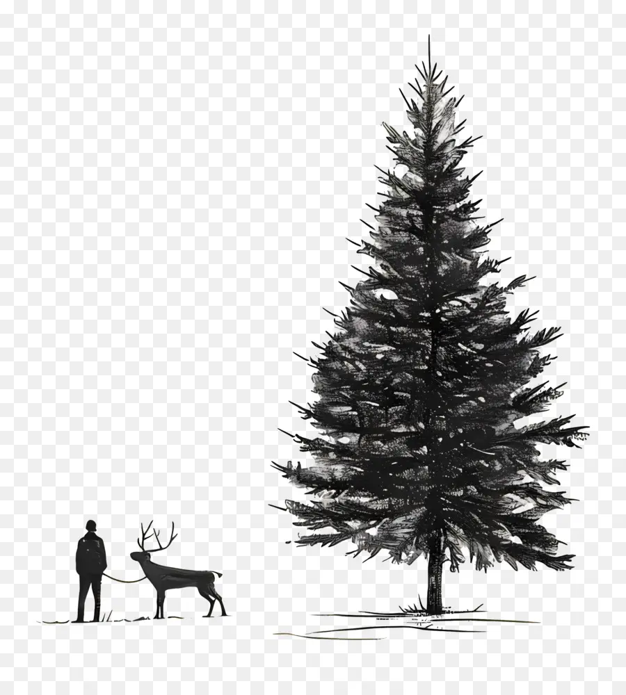 Noel Ağacı，Kompozisyon PNG