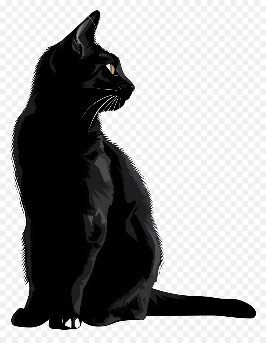 Kedi，Kara Kedi PNG