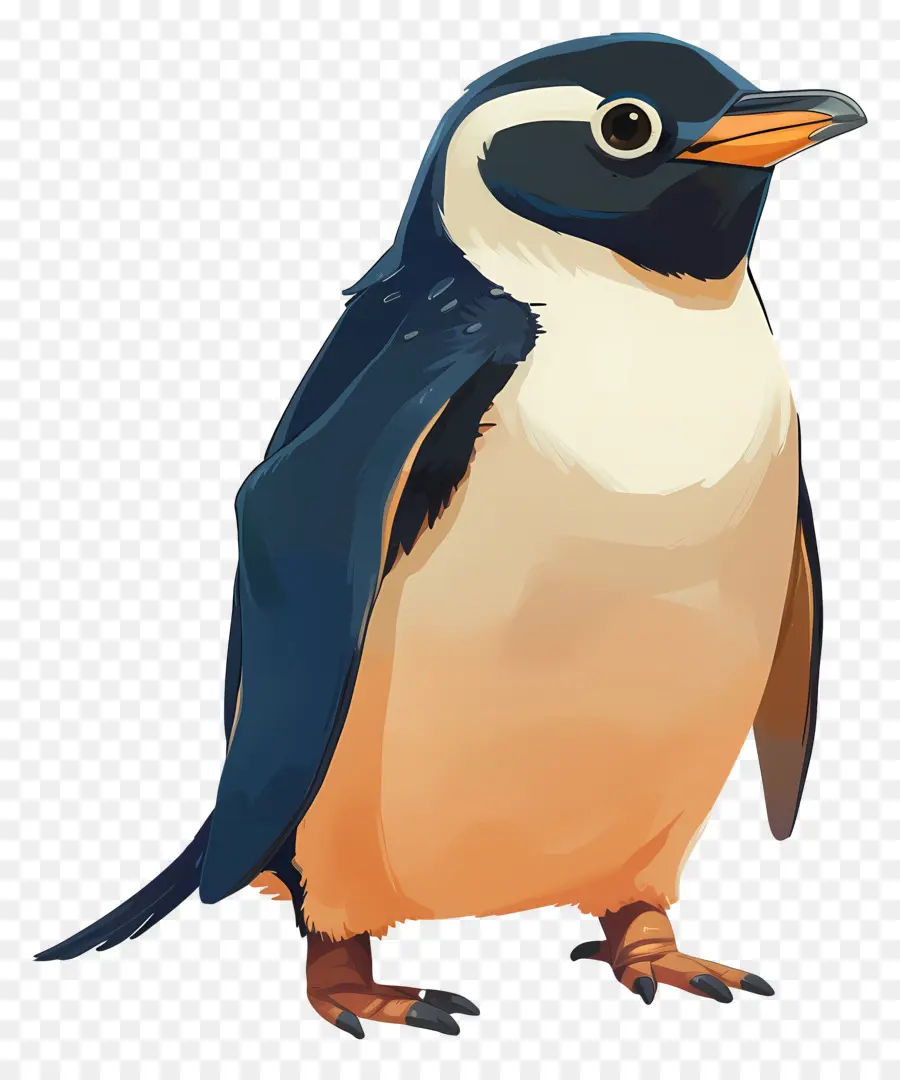 Penguen，Kuş PNG