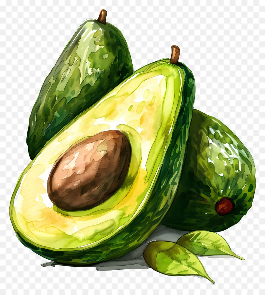 Avokado，Meyve PNG