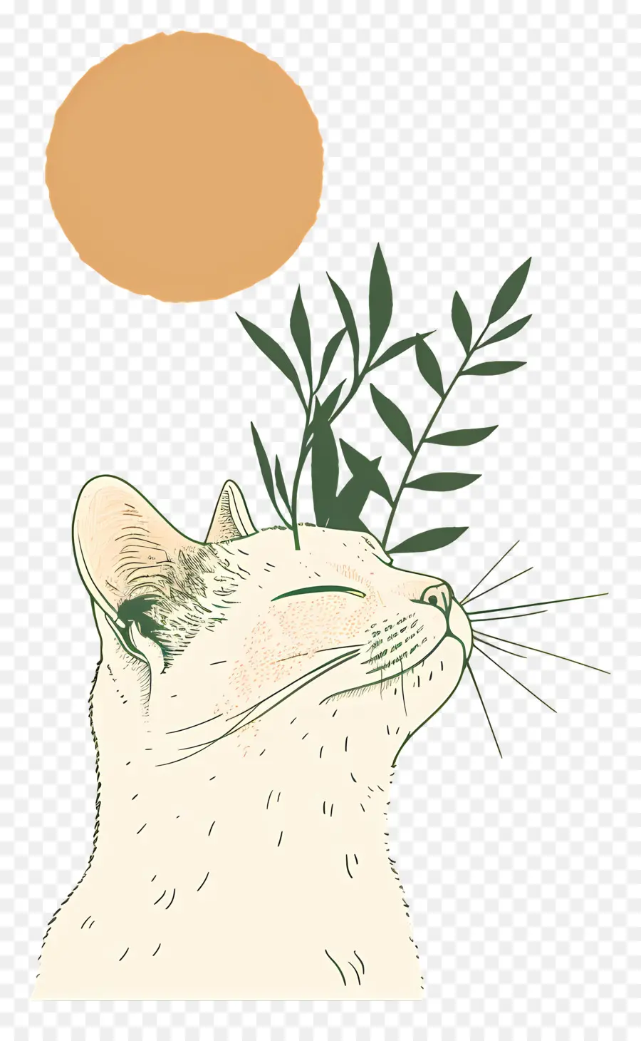 Soyut Kedi，Karikatür Kedi PNG