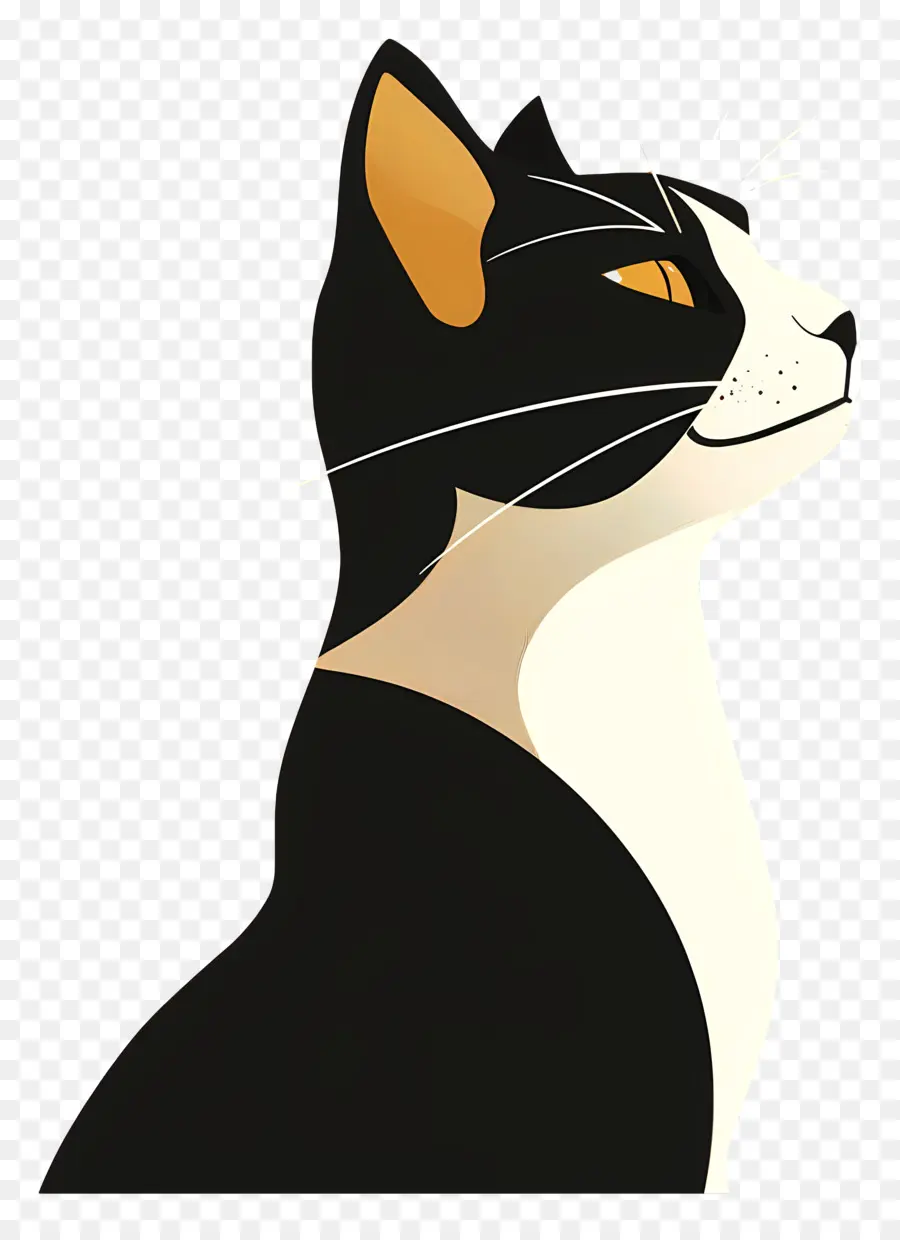 Kedi，Siyah Ve Beyaz Kedi PNG