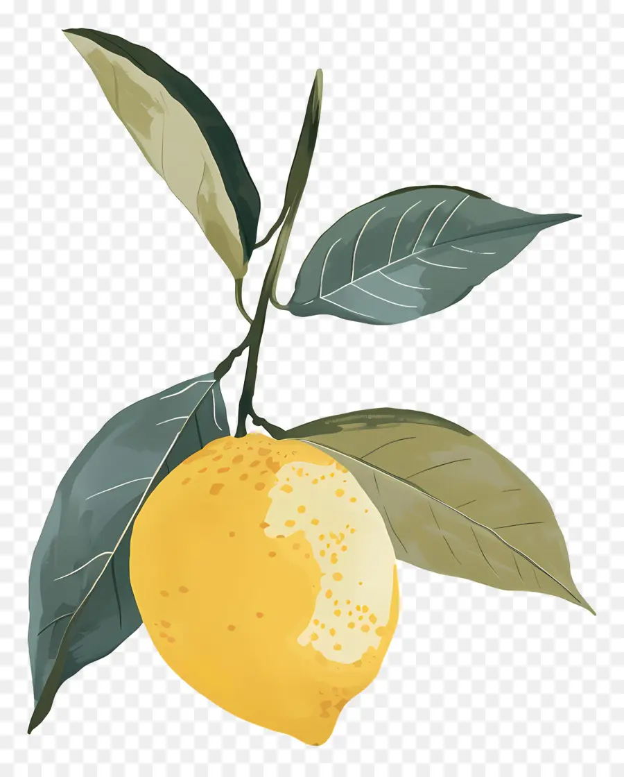 Limon，Limon Ağacı PNG