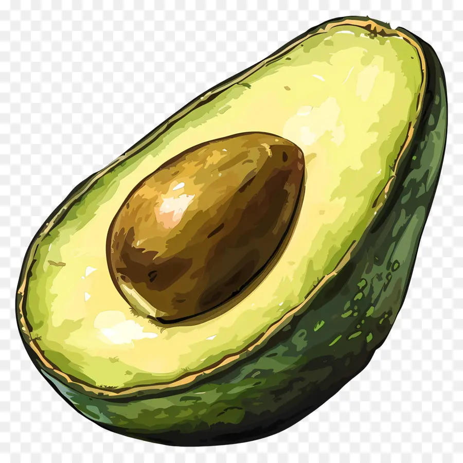 Avokado，Meyve PNG