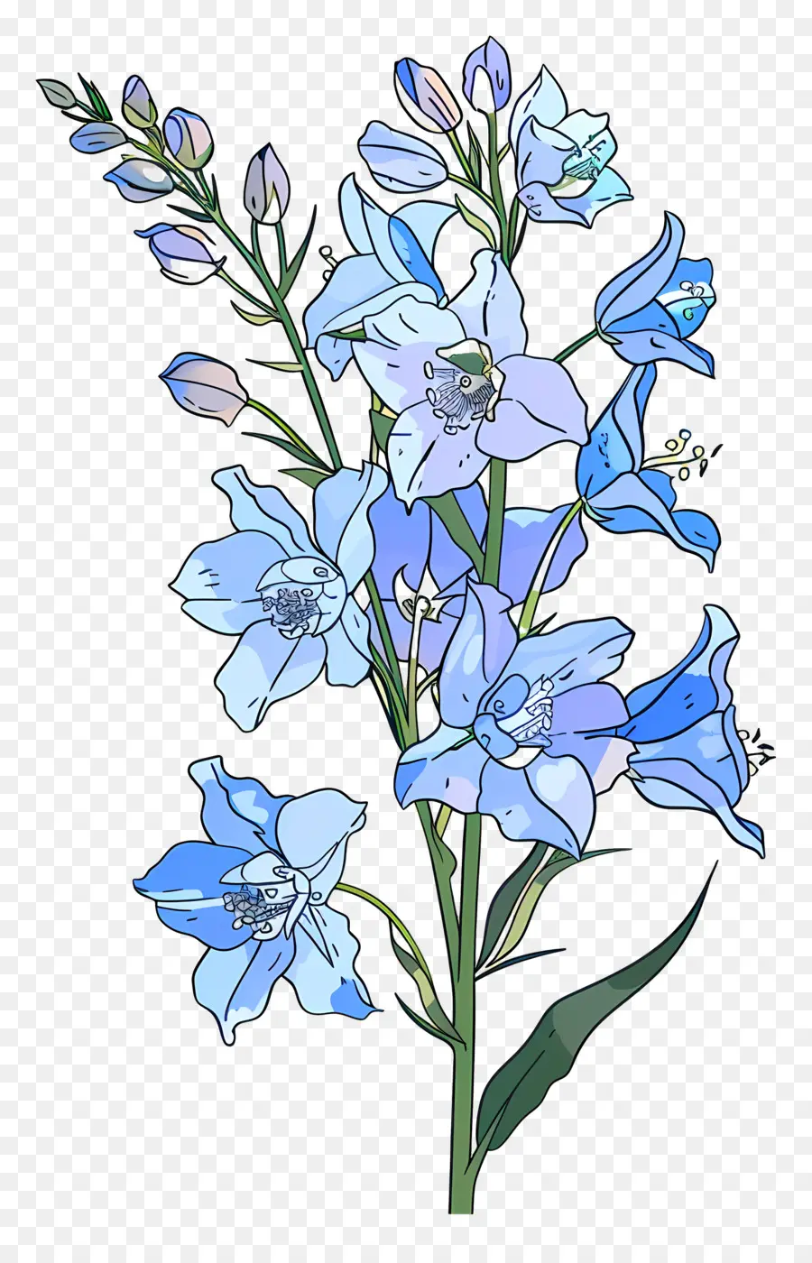 Delphinium，Mavi Çiçekler PNG