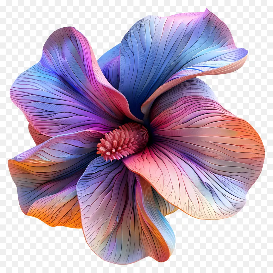 Egzotik çiçek，Renkli çiçek PNG