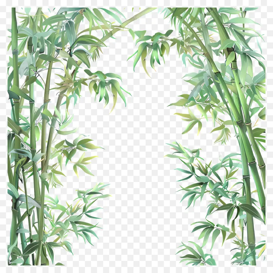 Bambu Ormanı，Bambu PNG