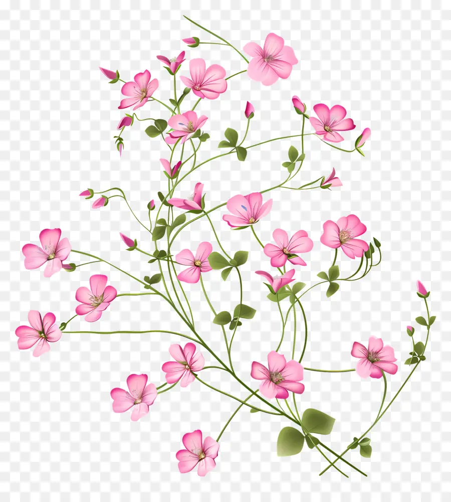 Pembe çiçekler，çiçek Açan çiçekler PNG
