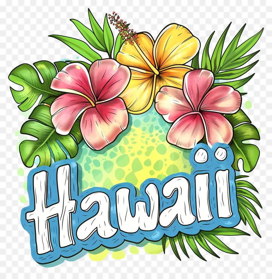 Hawaii，çiçekler PNG