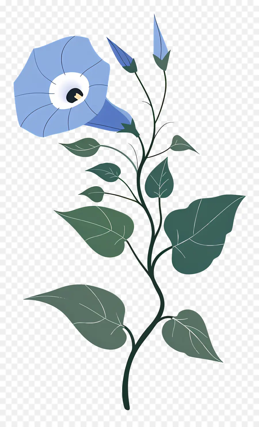 çançiçeği，Mavi çiçek PNG