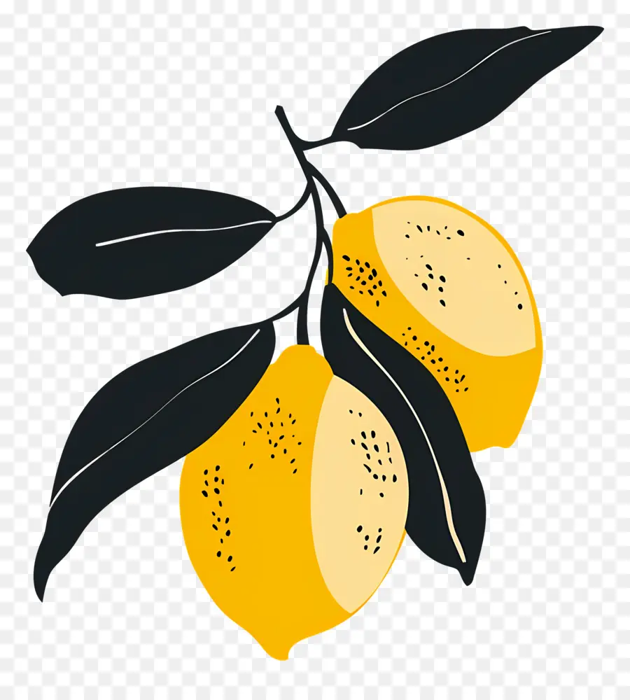 Limon，Şube PNG