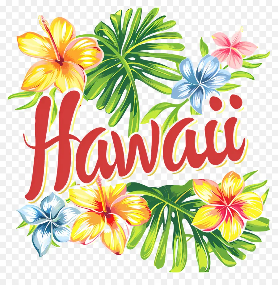 Hawaii，çiçekler PNG