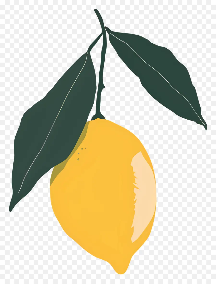 Limonlar，Narenciye PNG