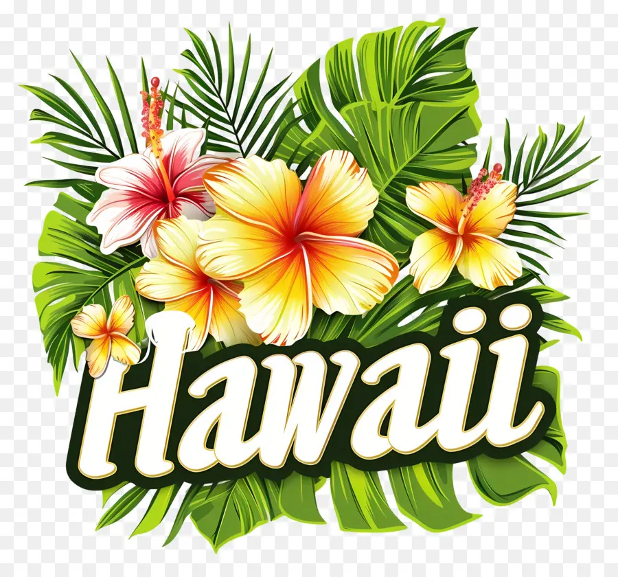 Hawaii，Hawaii Tasarımı PNG