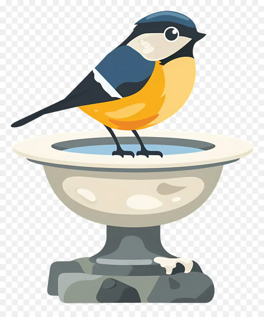 Kuş Banyosu，Mavi Jay PNG