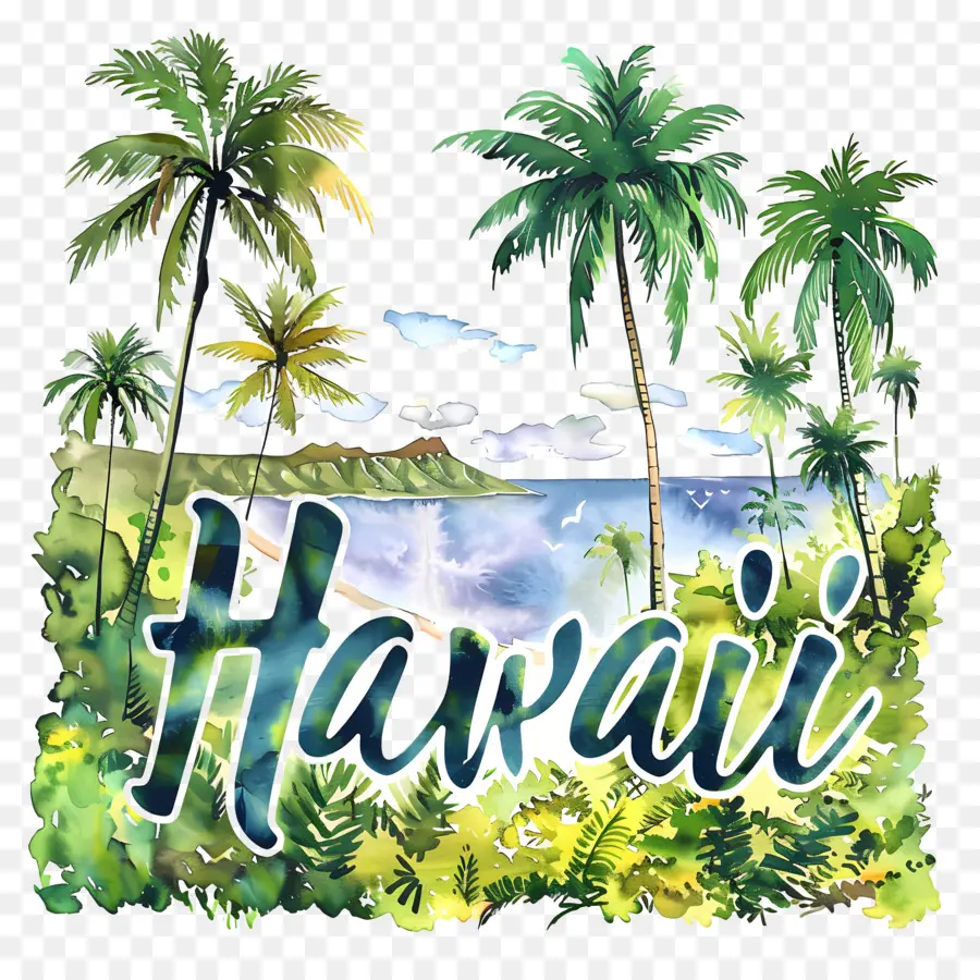 Hawaii，Hawaii Plajı PNG