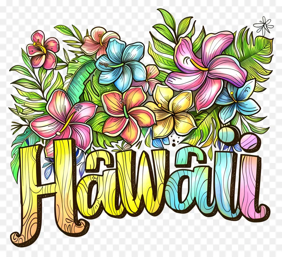 Hawaii，çiçek PNG