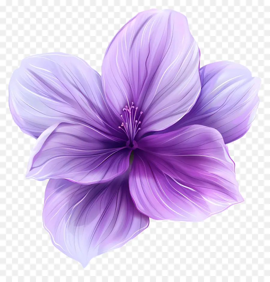 Mor çiçek，Zarif PNG